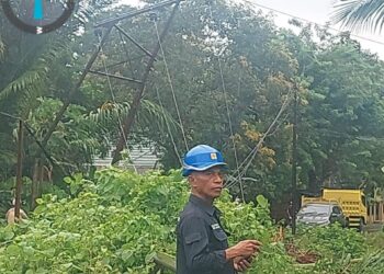 Cuaca Ekstrem Sebabkan Padam Listrik di Ambon, PLN Bergerak Cepat Lakukan Penormalan