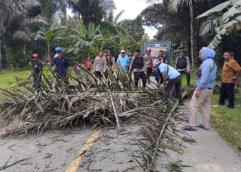 Pemalangan Jalan Trans Seram di Waisala Dibuka, Arus Lalu Lintas Kembali Normal