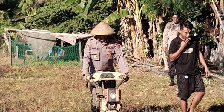Polri Perkuat Ketahanan Pangan Nasional, Polsek Bandara Pattimura Siapkan Lahan Jagung di Ambon