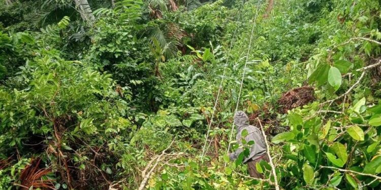 PLN Gerak Cepat Tangani Kelistrikan di Manipa