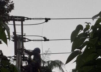 PLN ULP Namlea Intensif Lakukan Pemulihan Gangguan Kelistrikan Akibat Cuaca Ekstrem