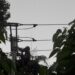 PLN ULP Namlea Intensif Lakukan Pemulihan Gangguan Kelistrikan Akibat Cuaca Ekstrem