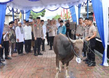 Polda Maluku Salurkan 37 Hewan Kurban Kepada Masjid dan Pondok Pesantren di Ambon