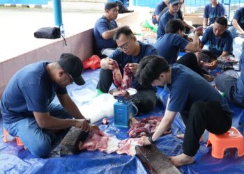 Semangat Iduladha 1447 H, PLN UIW MMU Salurkan 69 Hewan Kurban kepada Masyarakat