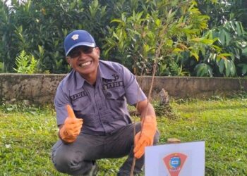 Pemkot Ambon Gandeng PNM Hijaukan Kota Lewat Penanaman 500 Pohon