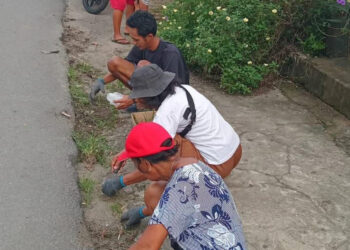 DLHP Ambon Bersihkan Bahu Jalan di Kawasan Kudamati