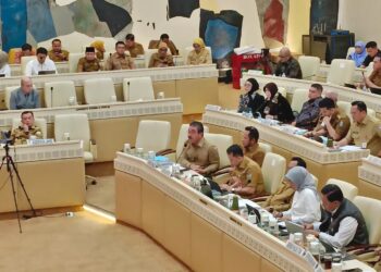 Gubernur Maluku Dorong Kebijakan Khusus ASN bagi Daerah Kepulauan dalam Raker Komisi II DPR RI